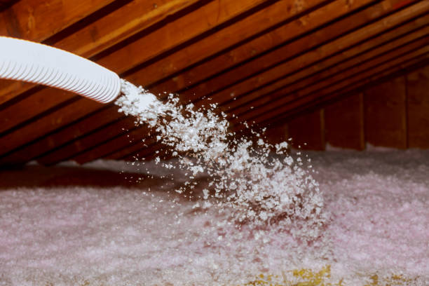 Best Insulation Maintenance and Repair in Elsmere, KY