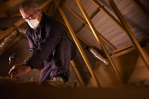 Best Insulation Maintenance and Repair in Elsmere, KY
